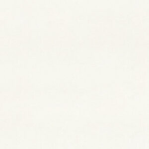 Blizzard