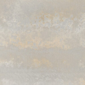 Primordia
