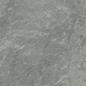 Silverdrop