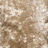 Brown Persa — view 1
