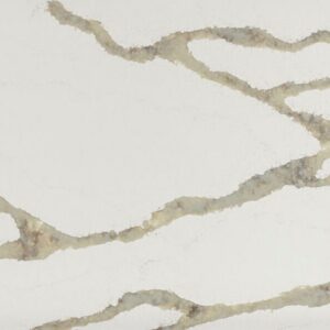 Calacatta Thyme