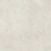 Fossil — view 1