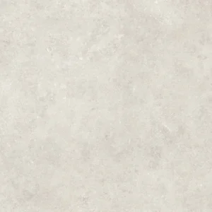 Fossil