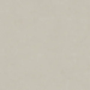 Plaster Snow
