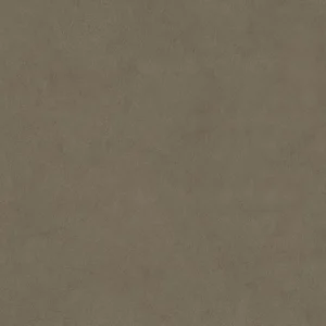 Plaster Ash