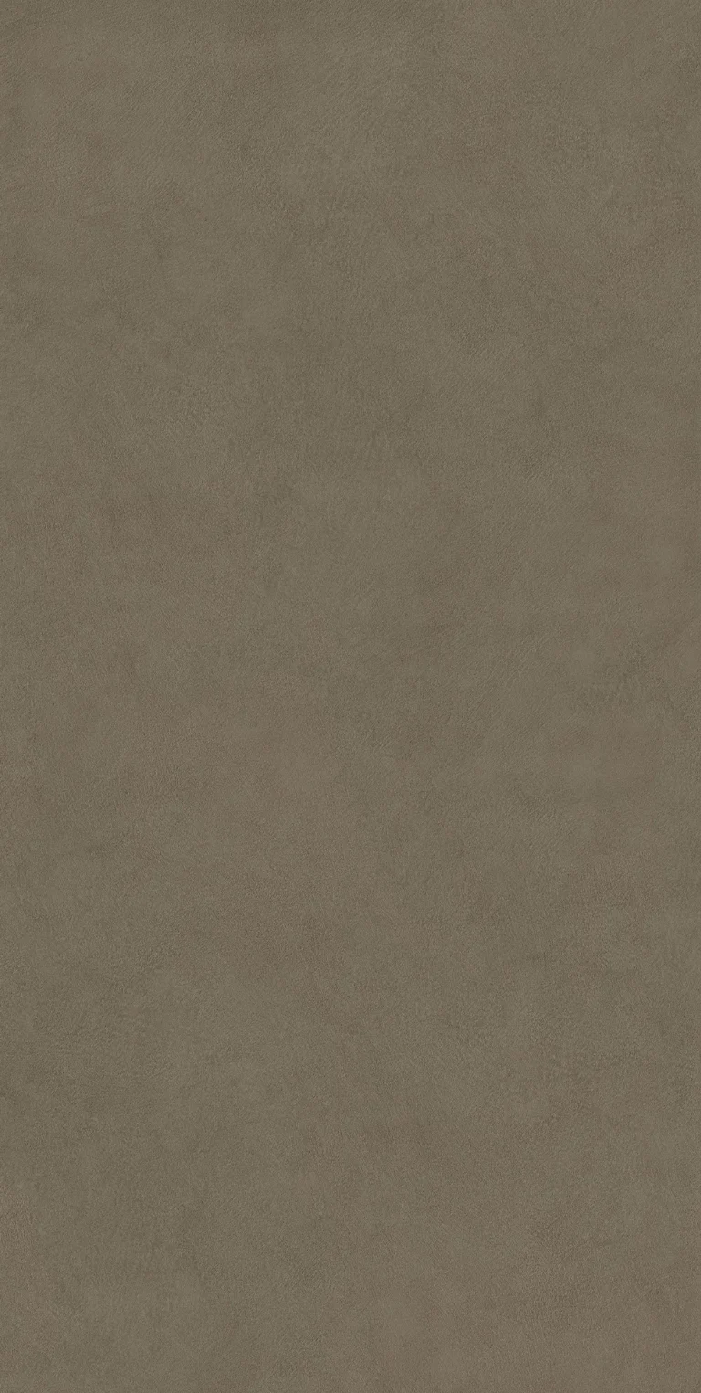 Plaster Ash