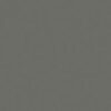 Grey Expo — view 1