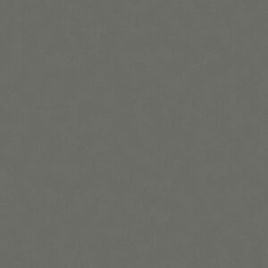 Grey Expo