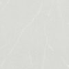 Desert Silver — view 1