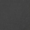 Cinder Craze — view 1