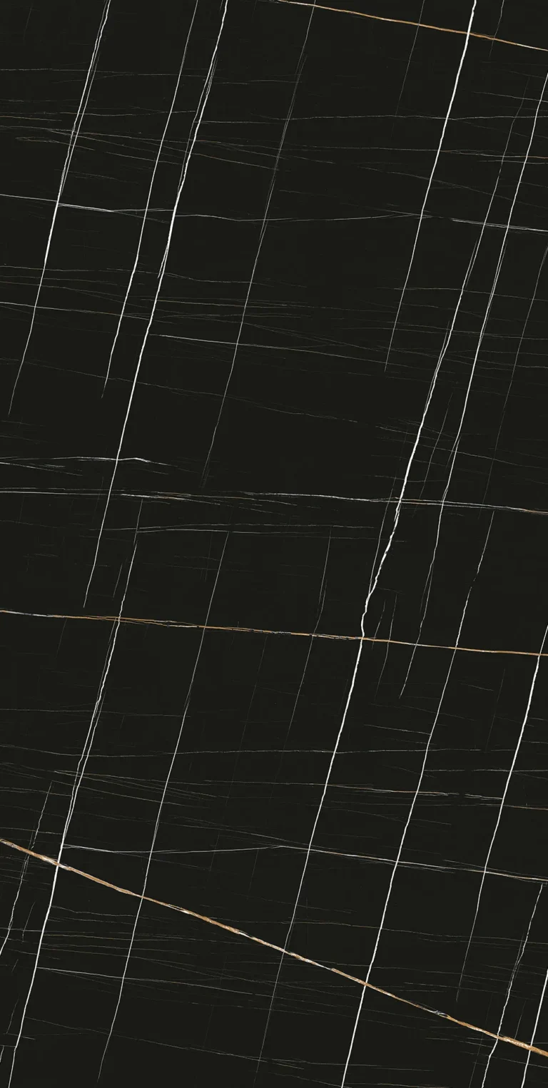 Sahara Noir