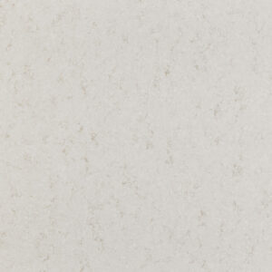 Cashmere Taj