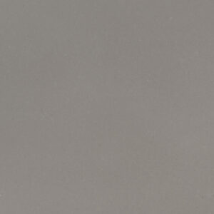 Fossil Gray